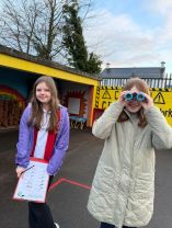 🪺Big Bird Watch Room 4 🐦‍⬛