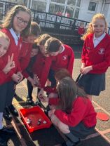 That’s a wrap on Term 2 for Room 4 