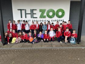 Room 4 trip to Belfast Zoo